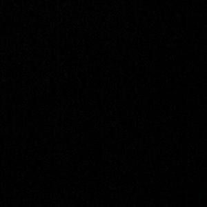 Meet your Posher, Bronte